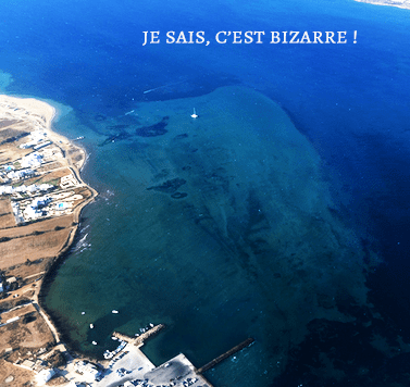 seascape
