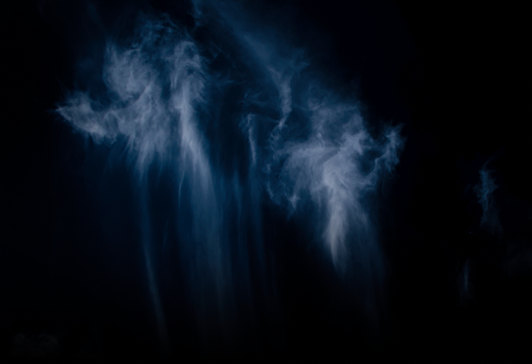 cloudy narcisse